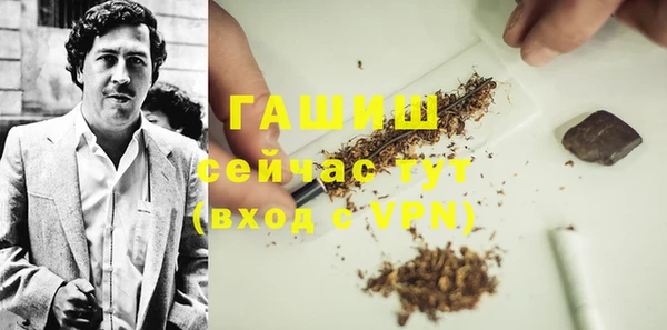 индика Ельня
