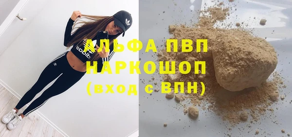 индика Ельня