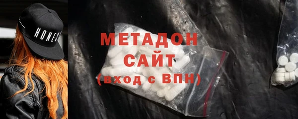 индика Ельня