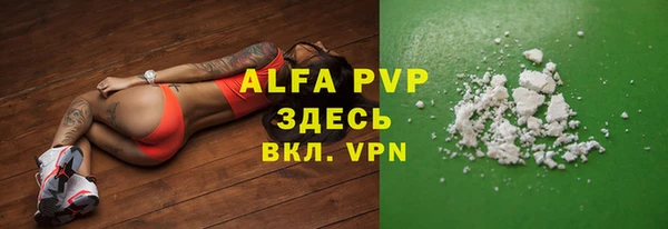 индика Ельня