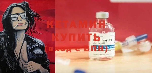 индика Ельня