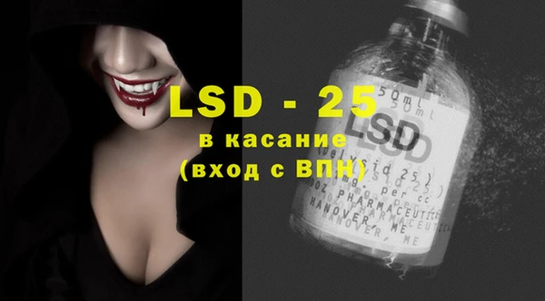 индика Ельня