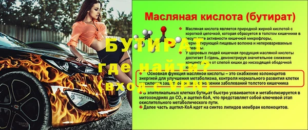 индика Ельня