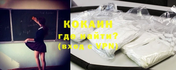 индика Ельня