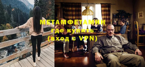 индика Ельня
