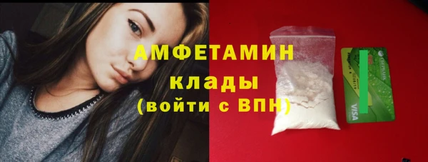 индика Ельня