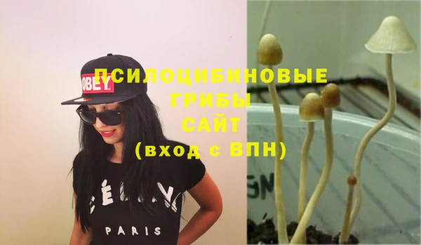 spice Елабуга
