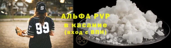 индика Ельня