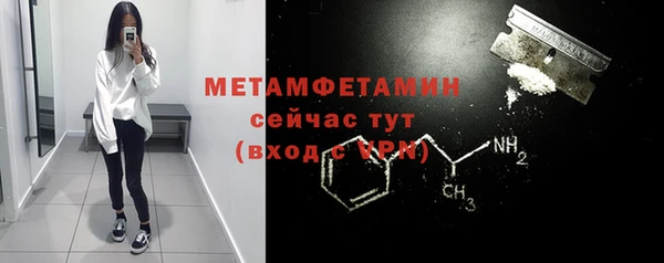 индика Ельня