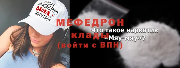 индика Ельня