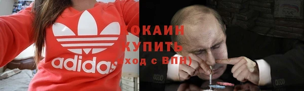 индика Ельня