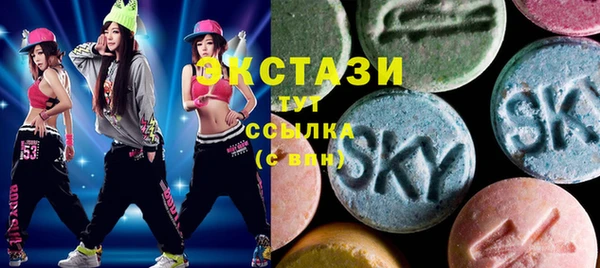индика Ельня