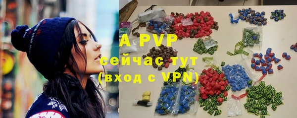 индика Ельня