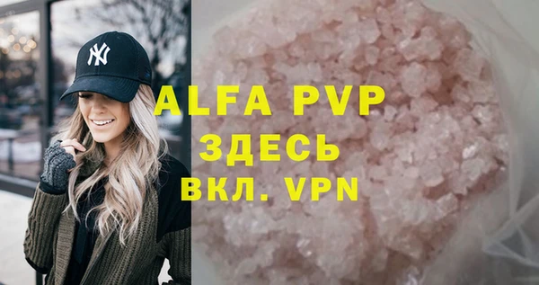 индика Ельня