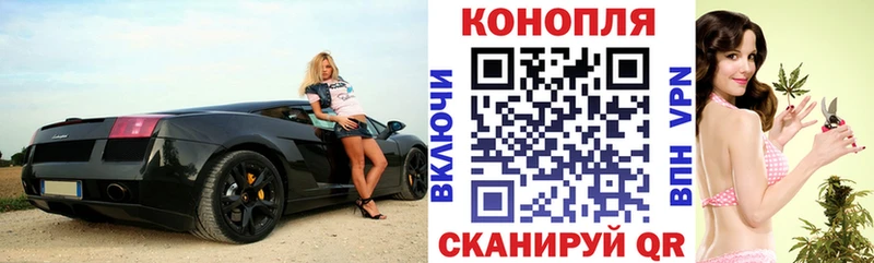 Купить где  Новотроицк  Бошки Шишки марихуана 